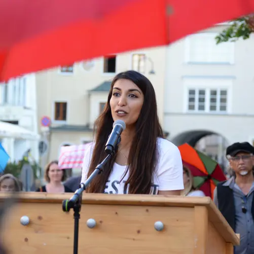 Wir öffnen den Schutzschirm - Bild 2