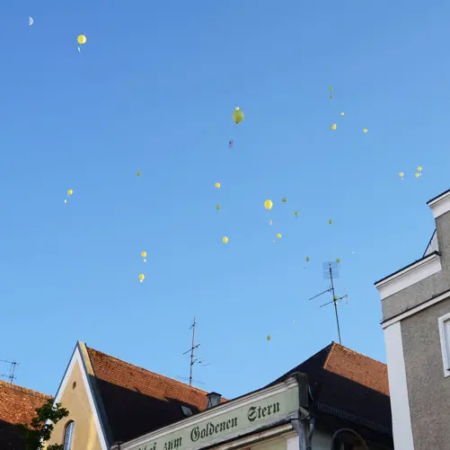 Wir öffnen den Schutzschirm - Bild 10