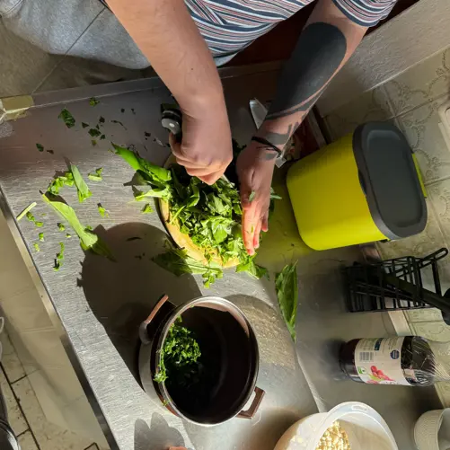 Bärlauchwoche & gemeinsames Kochen - Bild 2