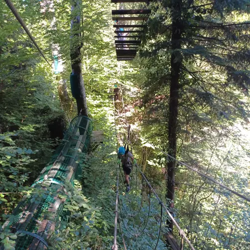Ausflug in den Hochseilpark Seeham - Bild 3