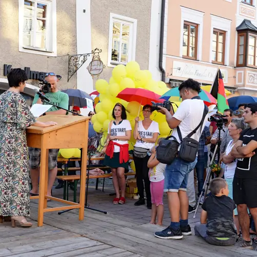 Wir öffnen den Schutzschirm - Bild 6